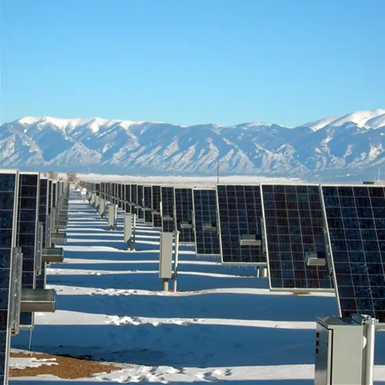 carbon credits 2