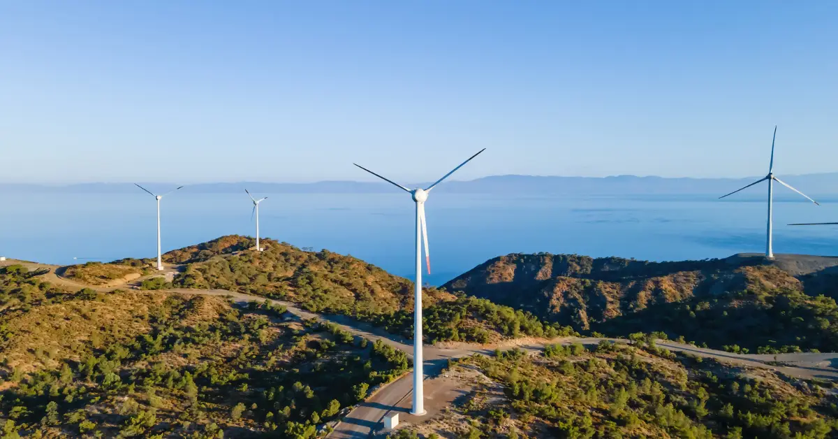 what-are-the-different-carbon-credit-standards