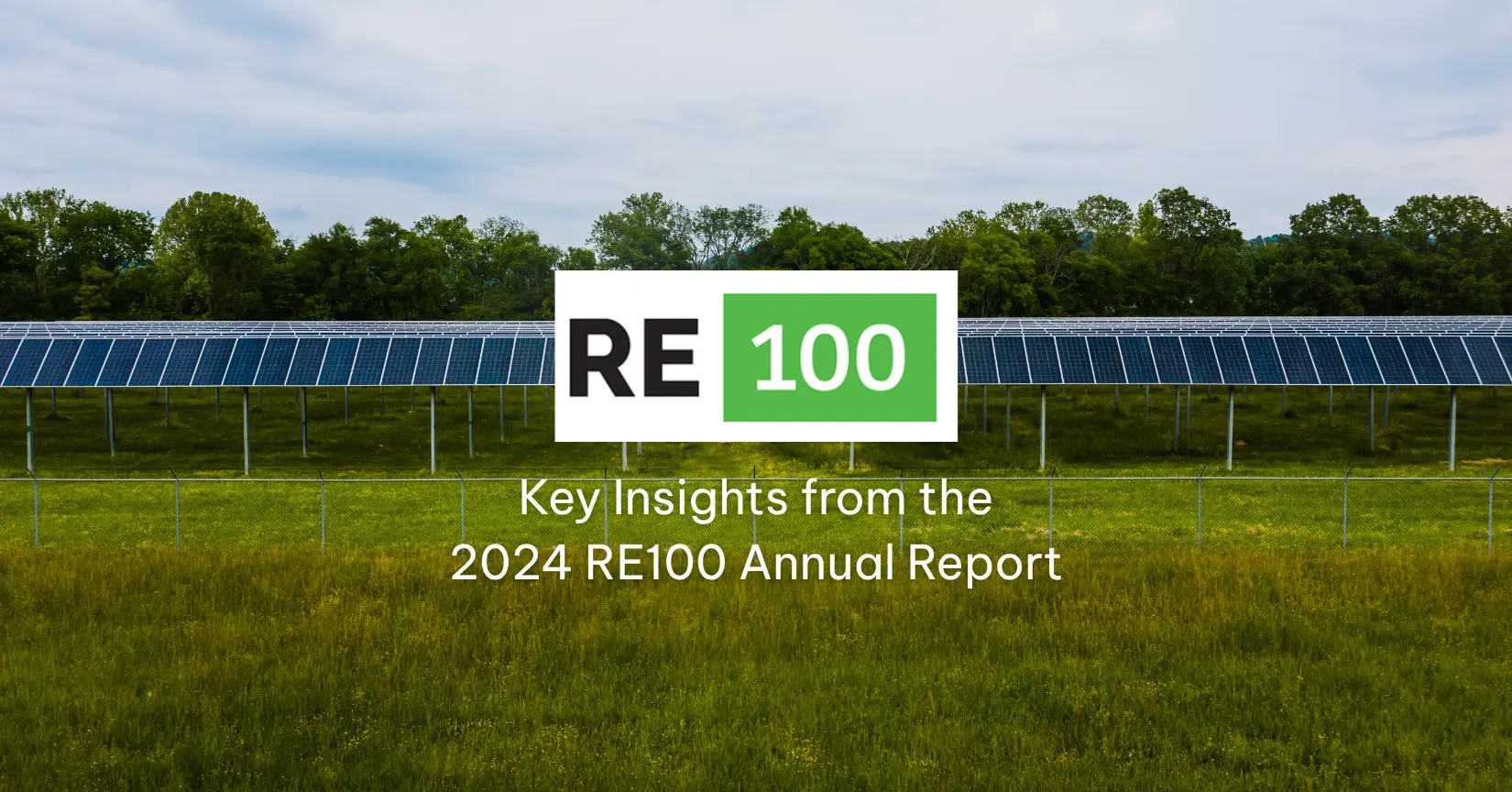 key-insights-from-the-2024-RE100-annual-report