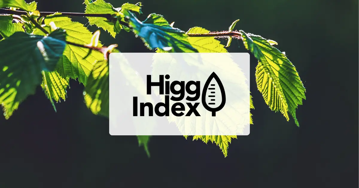 What is Higg Index FEM