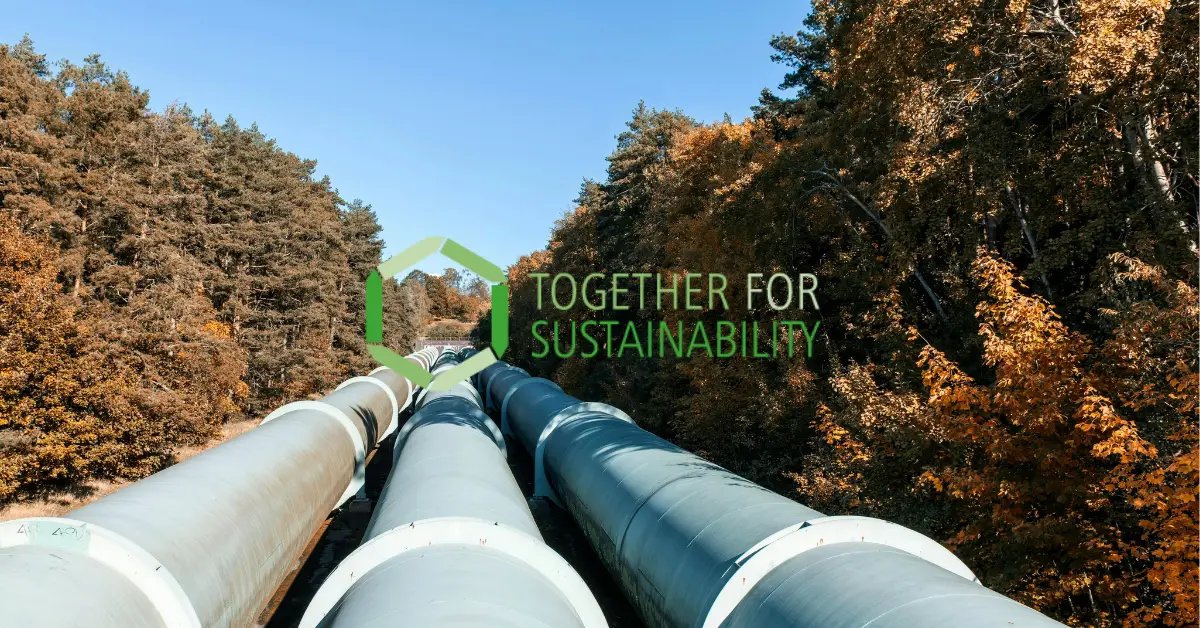 What is Together for Sustainability